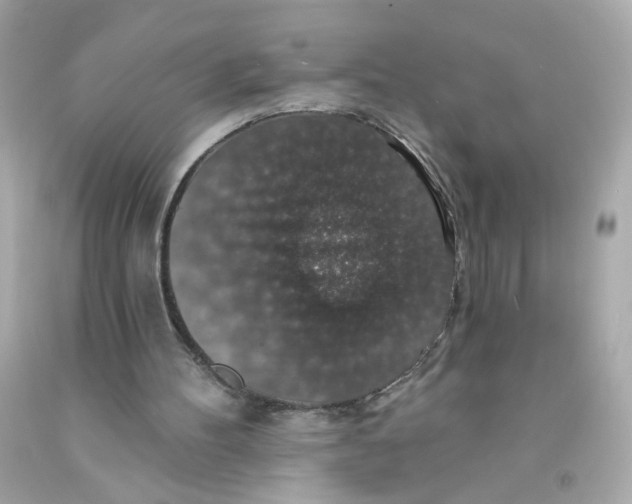 X0000093130100200710241330