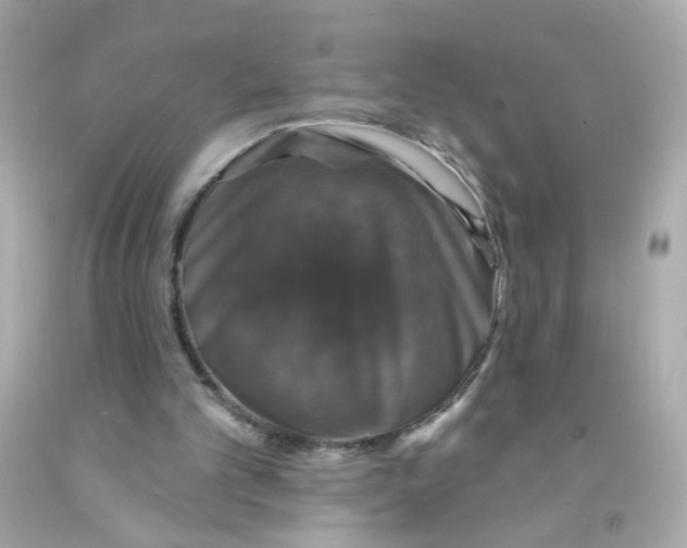 X0000093130101200710241330