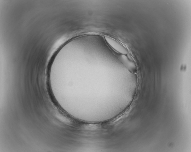 X0000093130102200710241330