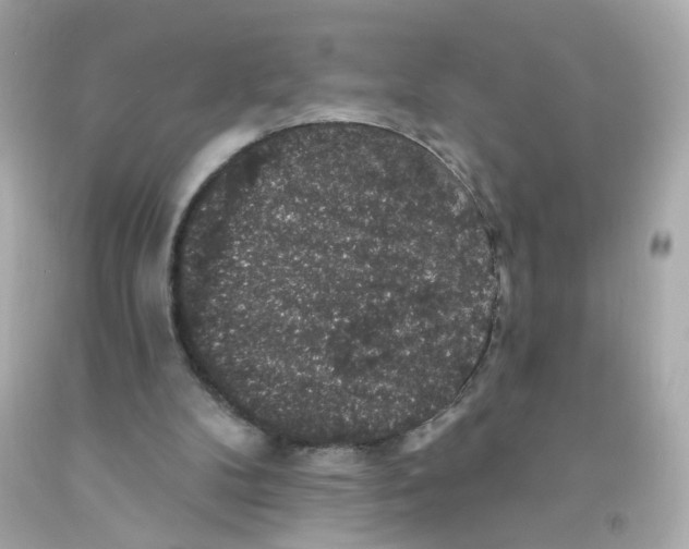 X0000093130104200710241330