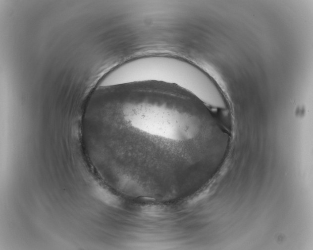 X0000093130105200710241330