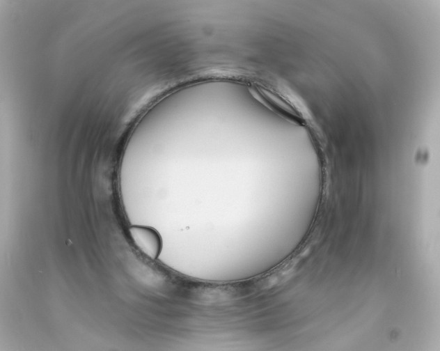X0000093130106200710241330