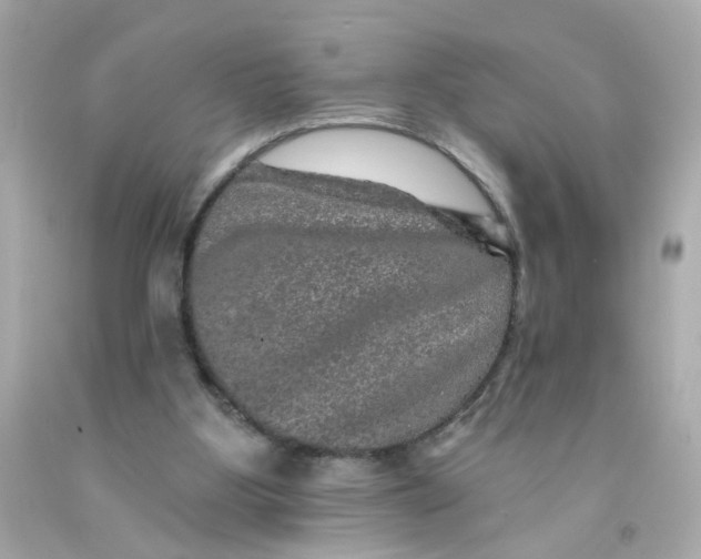 X0000093130107200710241330