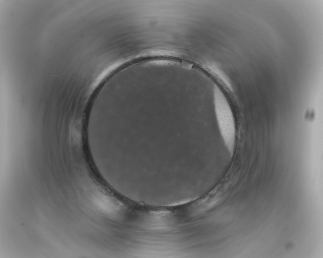 X0000093130108200710241330