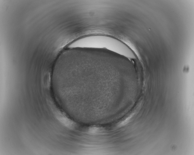 X0000093130109200710241330