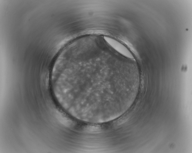 X0000093130110200710241330