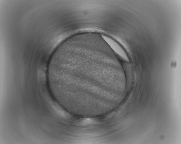 X0000093130111200710241330