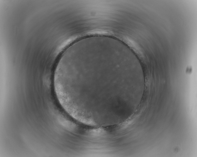 X0000093130112200710241330