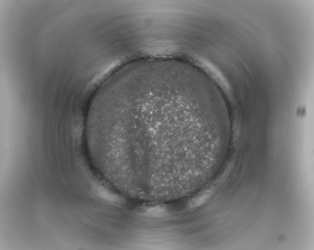 X0000093130113200710241330