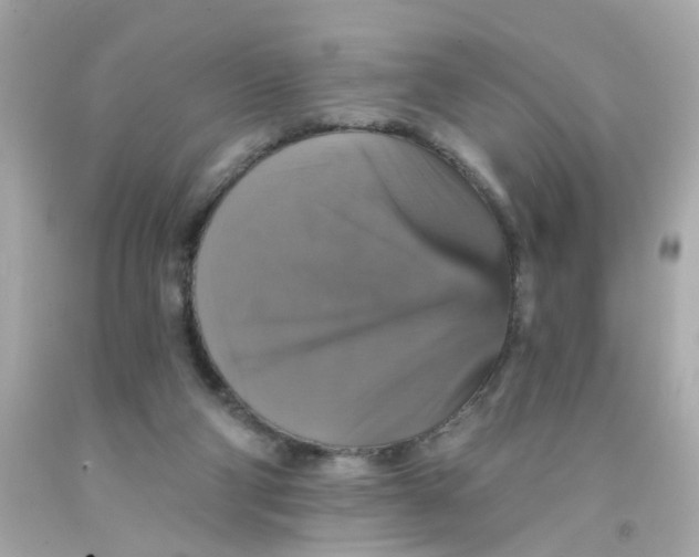 X0000093130114200710241330