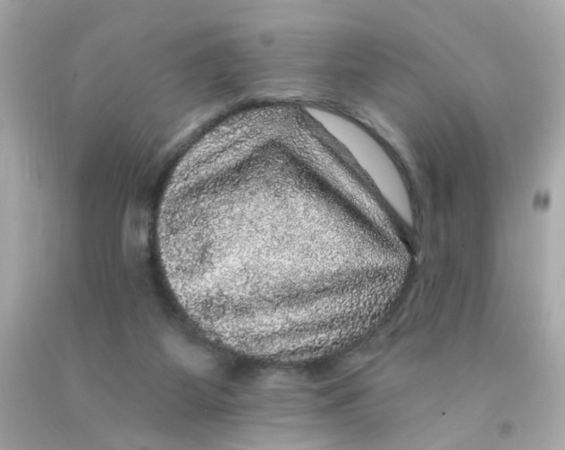 X0000093130115200710241330