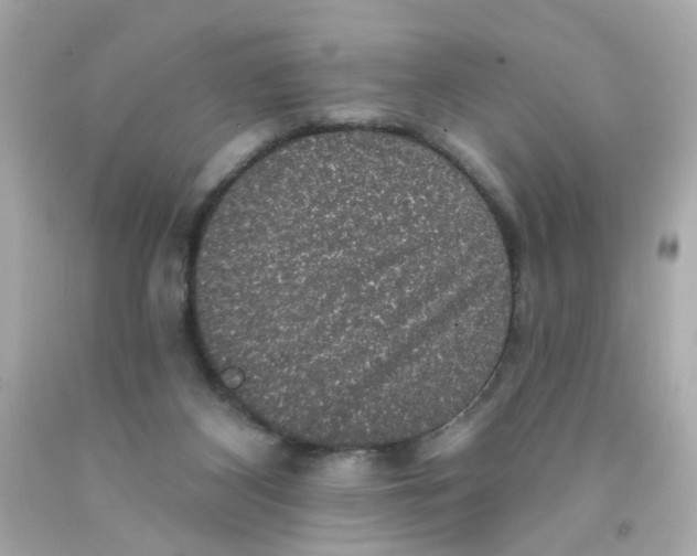X0000093130116200710241330