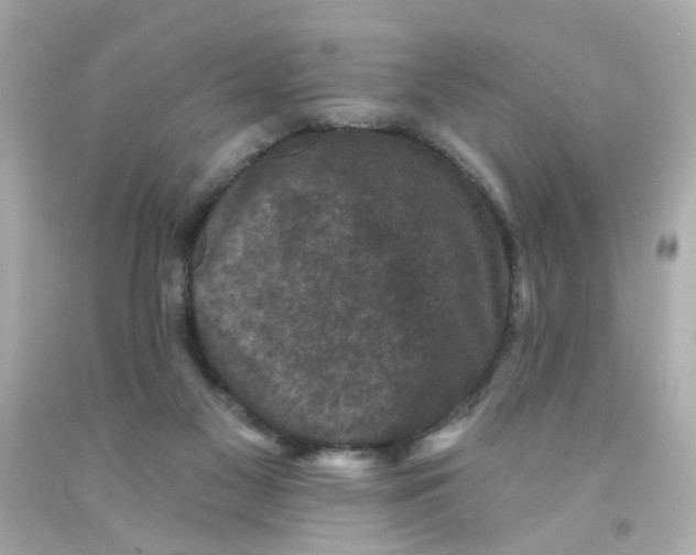 X0000093130117200710241330