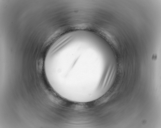X0000093130118200710241330