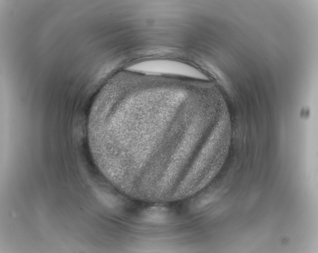 X0000093130119200710241330