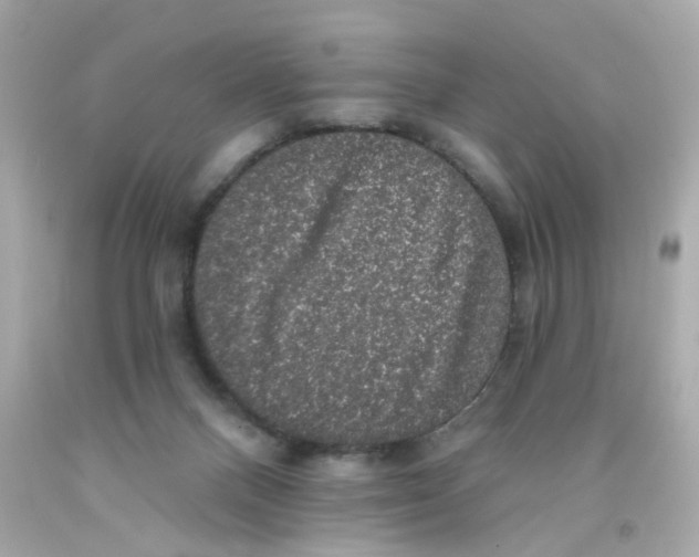 X0000093130120200710241330