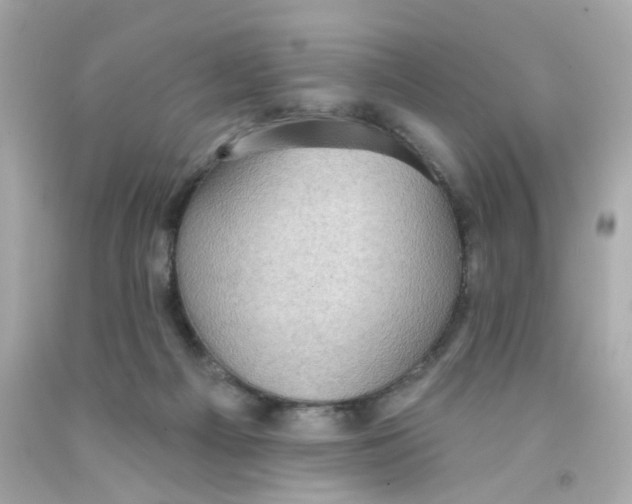 X0000093130121200710241330