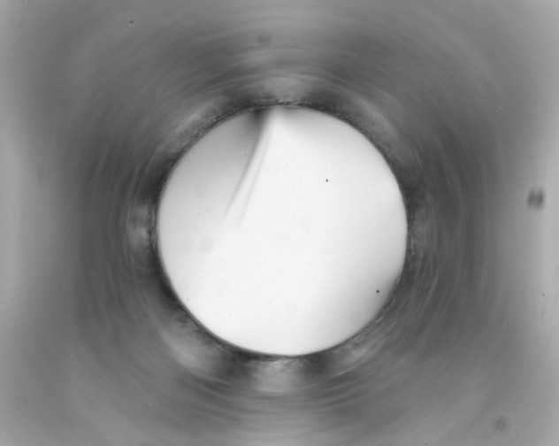 X0000093130122200710241330