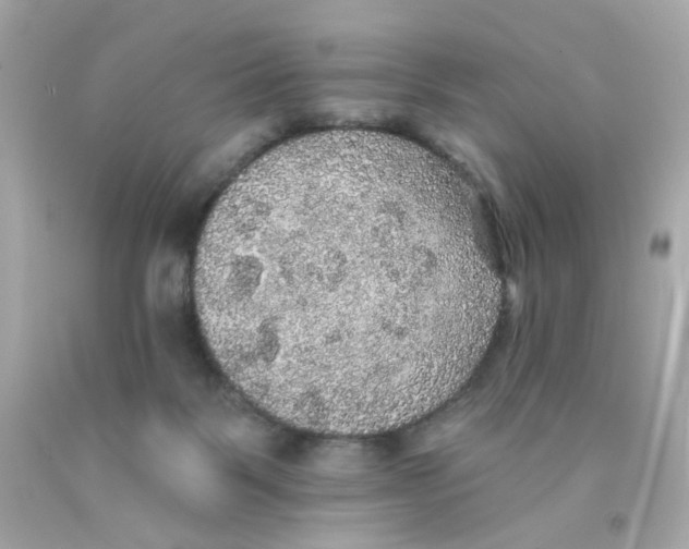 X0000093130123200710241330