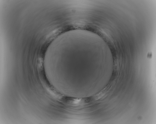 X0000093130130200710241330