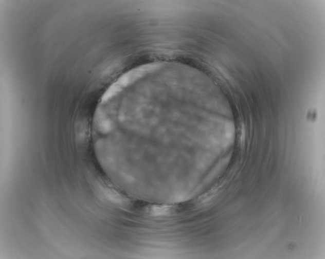X0000093130134200710241330