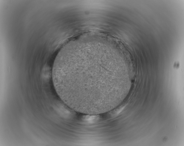 X0000093130135200710241330