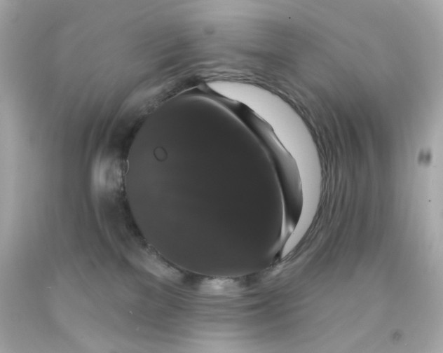 X0000093130137200710241330