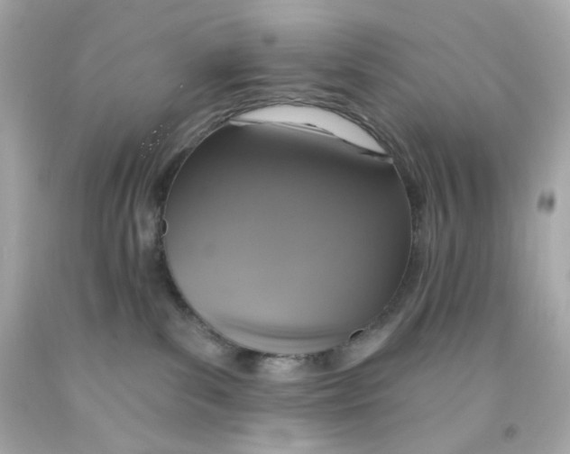 X0000093130139200710241330