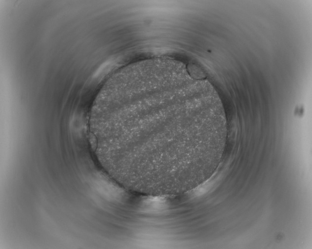 X0000093130140200710241330