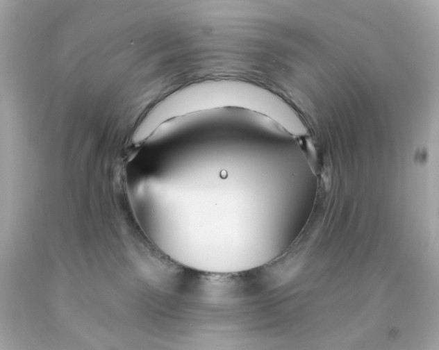 X0000093130141200710241330