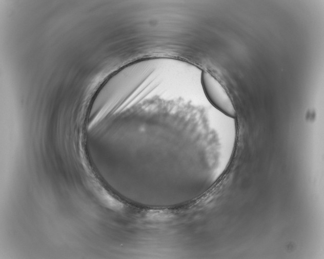 X0000093130145200710241329