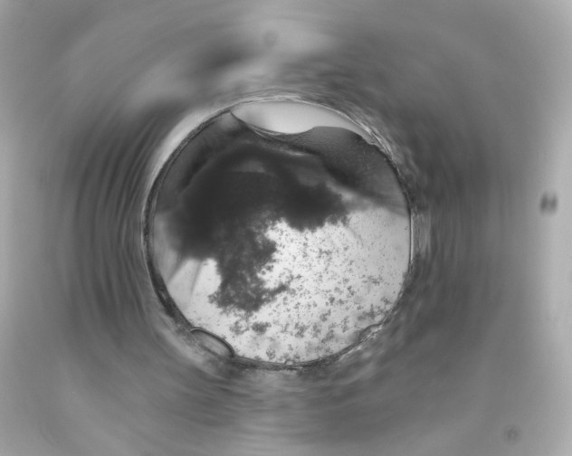 X0000093130147200710241329