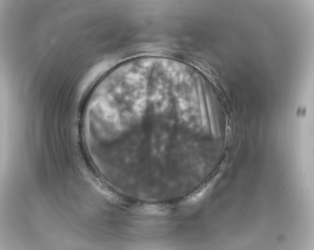 X0000093130149200710241329