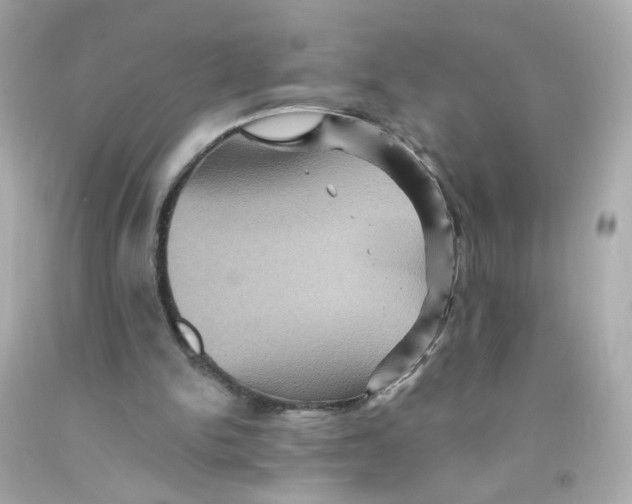 X0000093130150200710241329