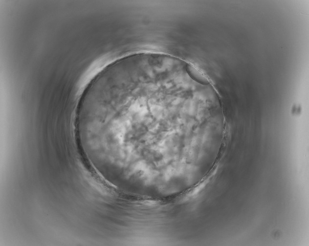 X0000093130151200710241329