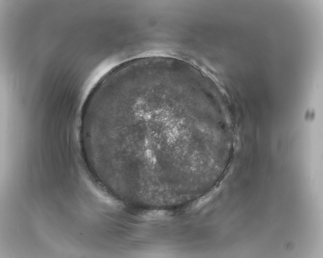 X0000093130152200710241329