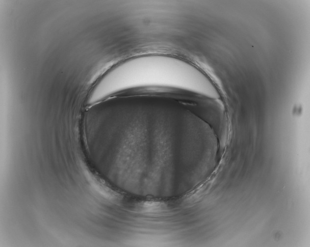 X0000093130154200710241329