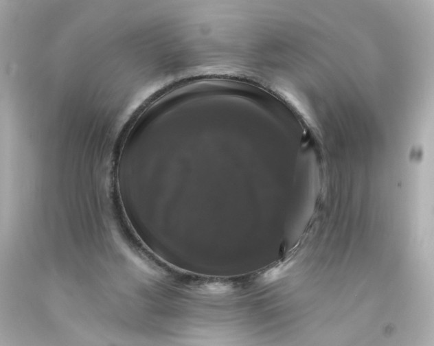X0000093130156200710241329