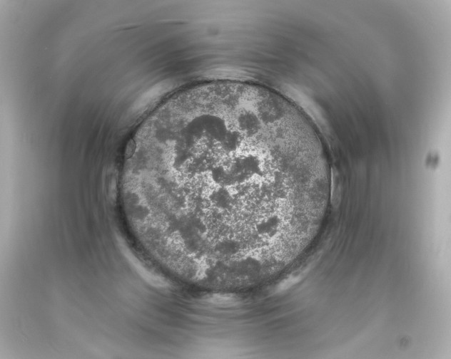 X0000093130157200710241329
