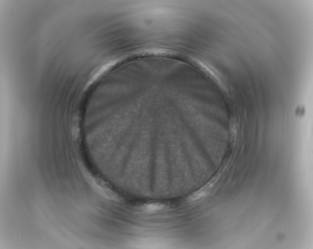 X0000093130158200710241329