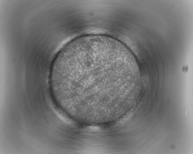 X0000093130159200710241329