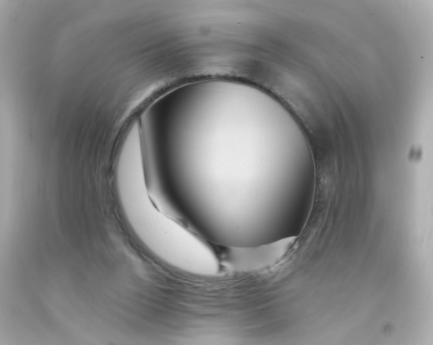 X0000093130160200710241329