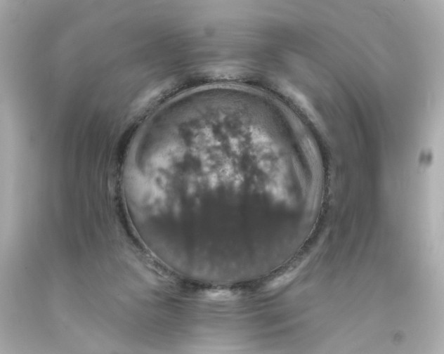 X0000093130161200710241329
