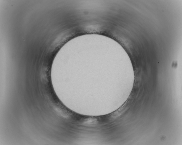 X0000093130162200710241329