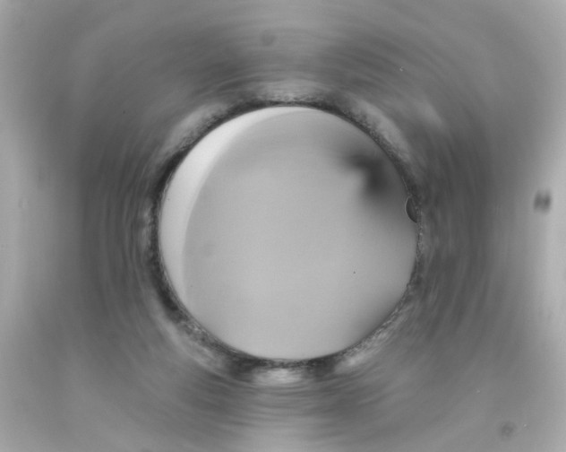 X0000093130163200710241329