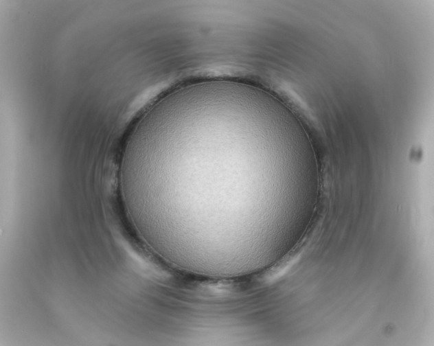 X0000093130164200710241329