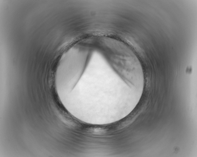 X0000093130165200710241329