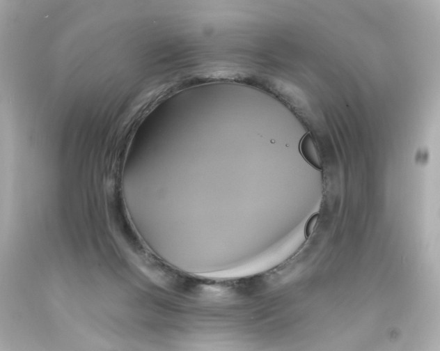 X0000093130167200710241329