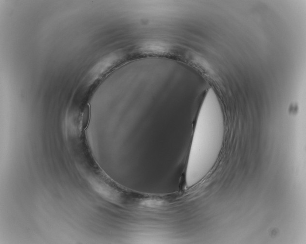 X0000093130168200710241329