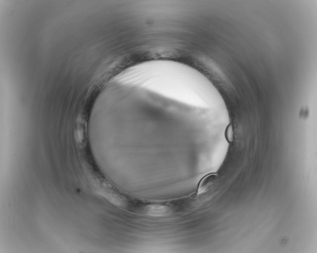 X0000093130169200710241329